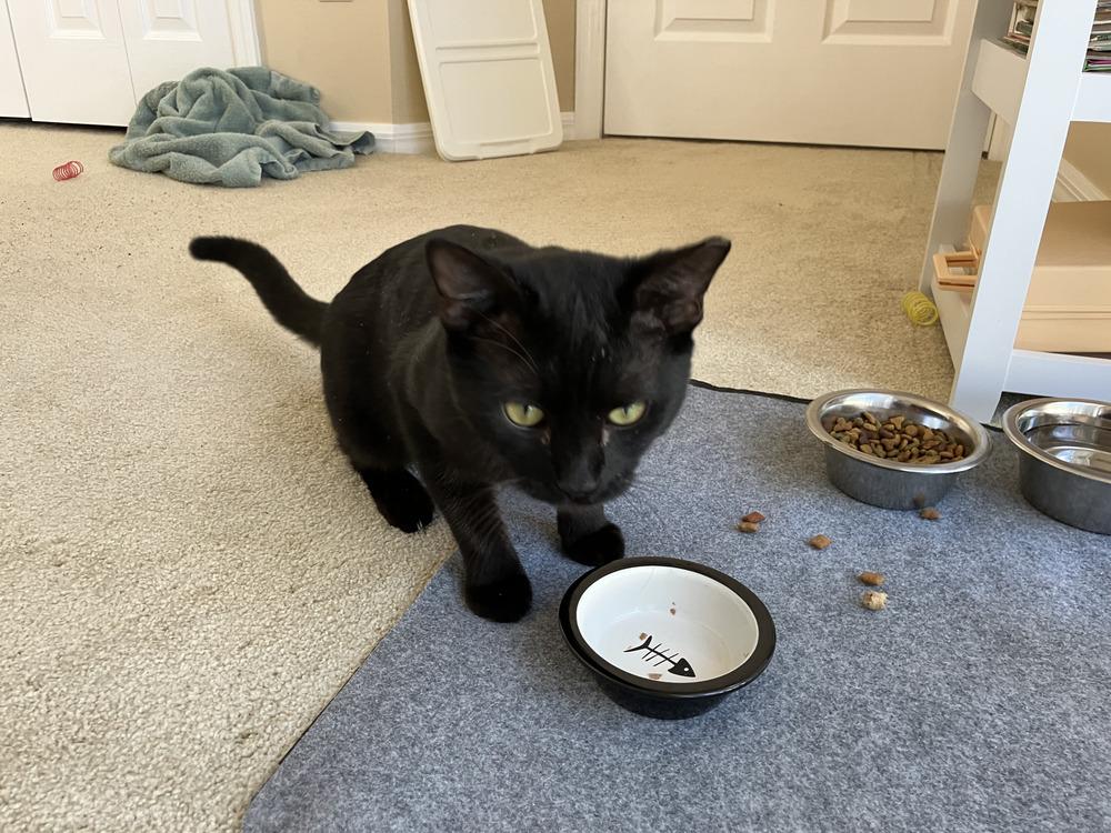 Skeeter — thumbnail 4