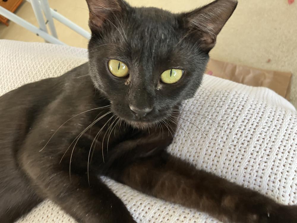 Skeeter — thumbnail 5