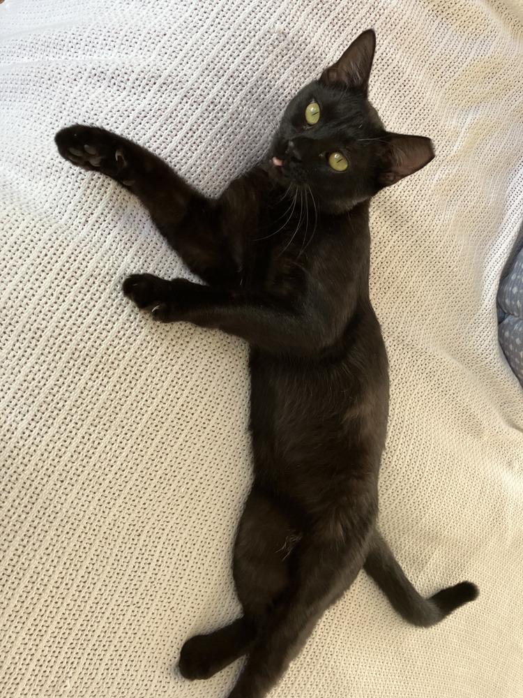 Skeeter — thumbnail 6