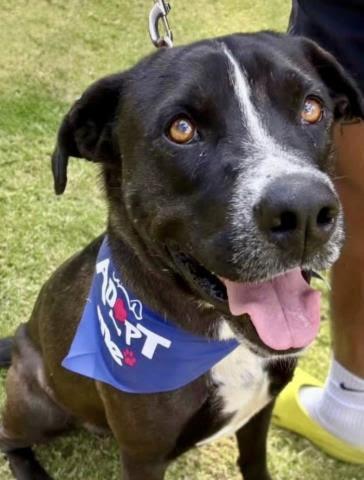 Jim -- URGENT!!