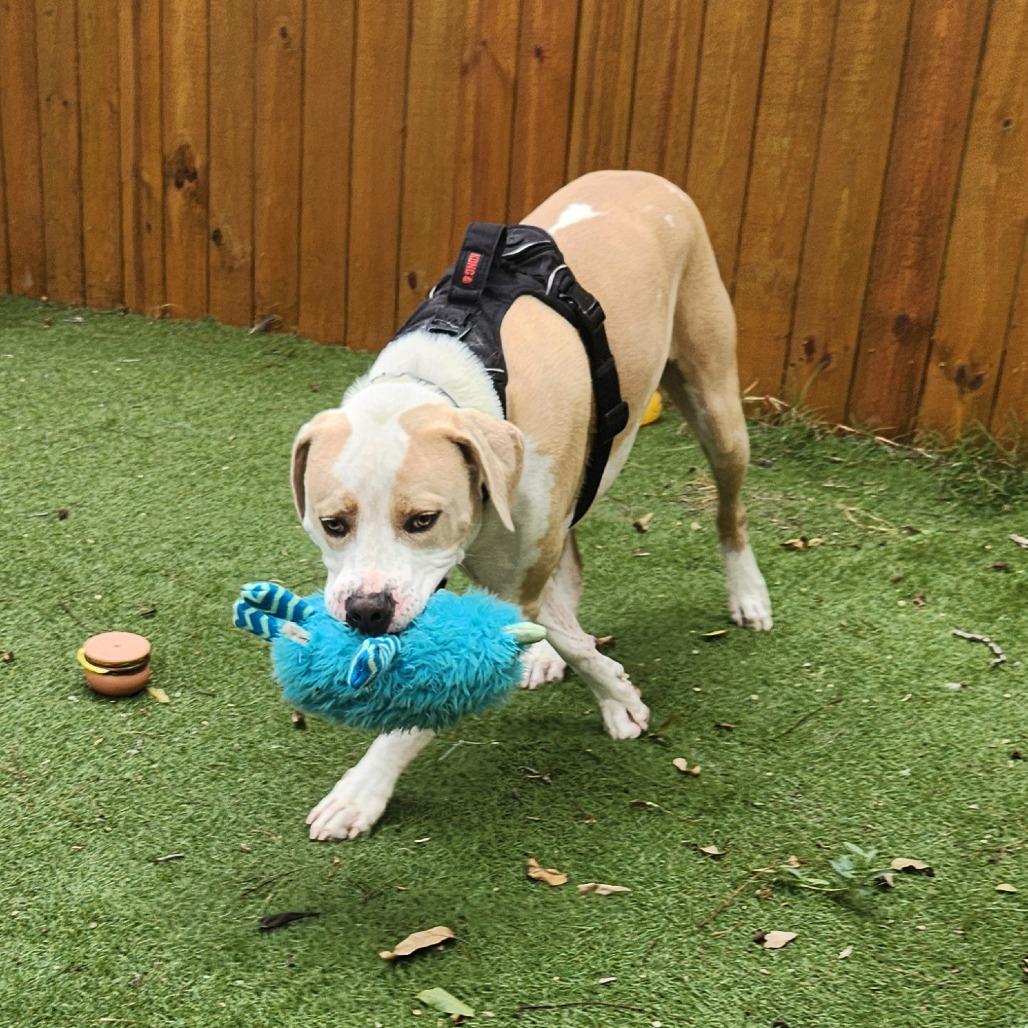 Luke AG — thumbnail 6