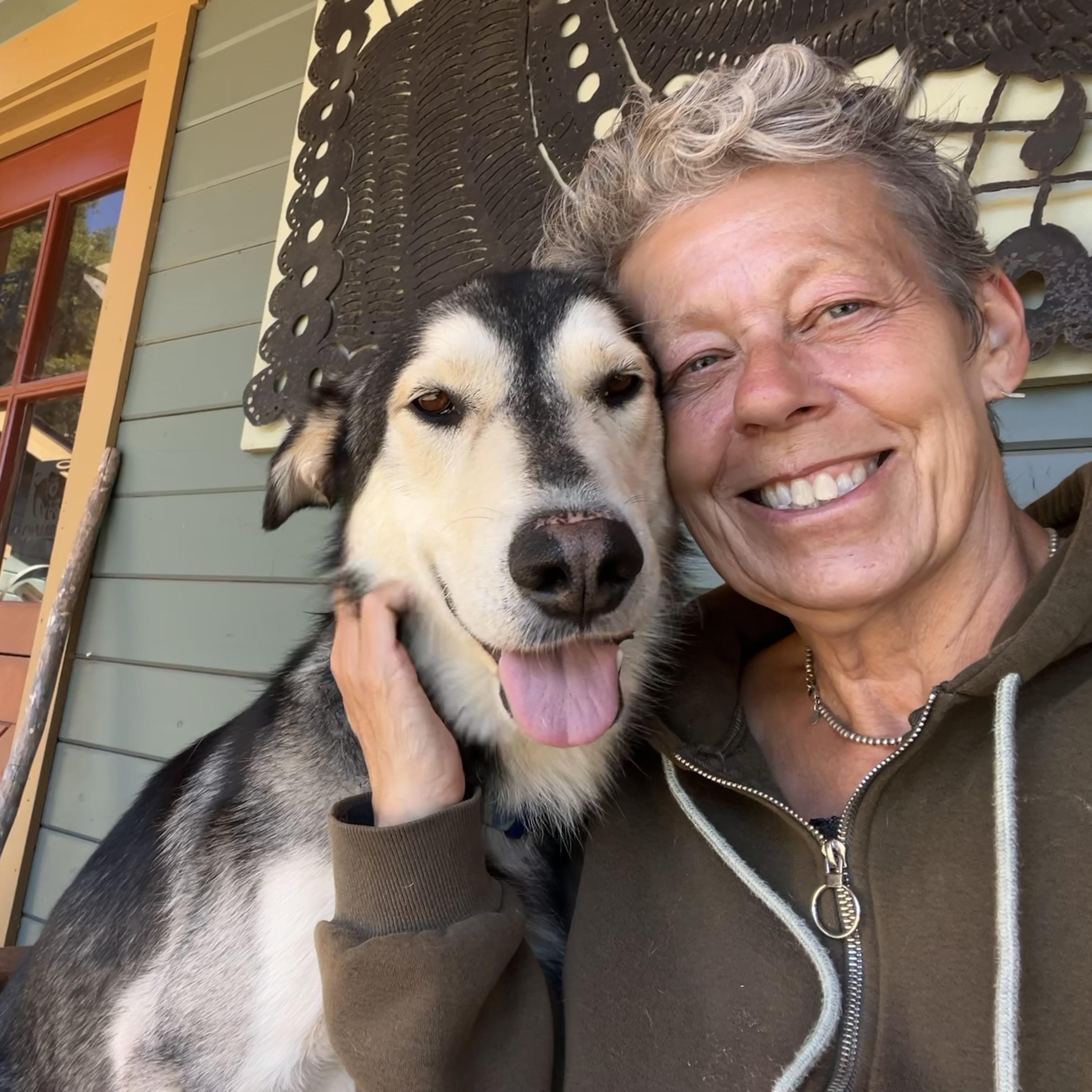 Enlarge 'Dash' (Shepsky Nerd), a Adopted mixed breed in Oakland, CA image 5/6