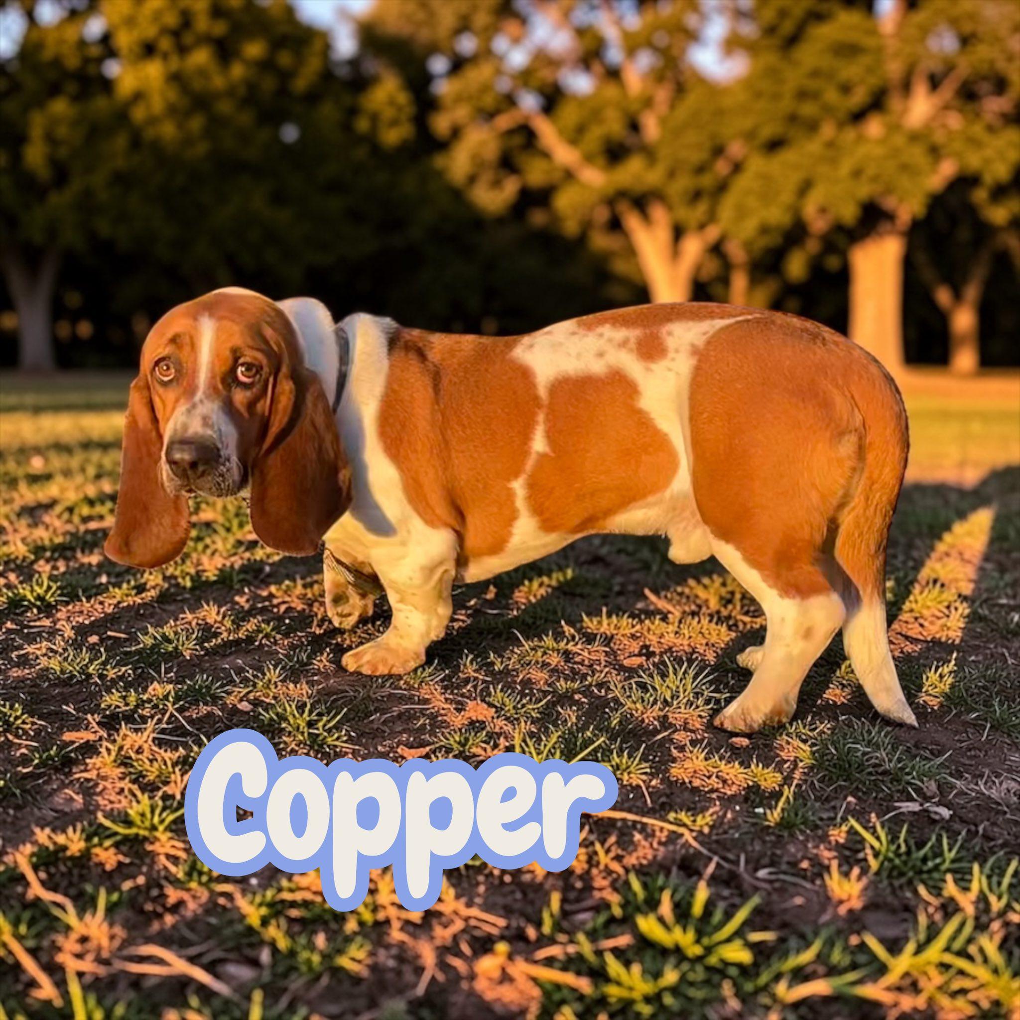 Copper