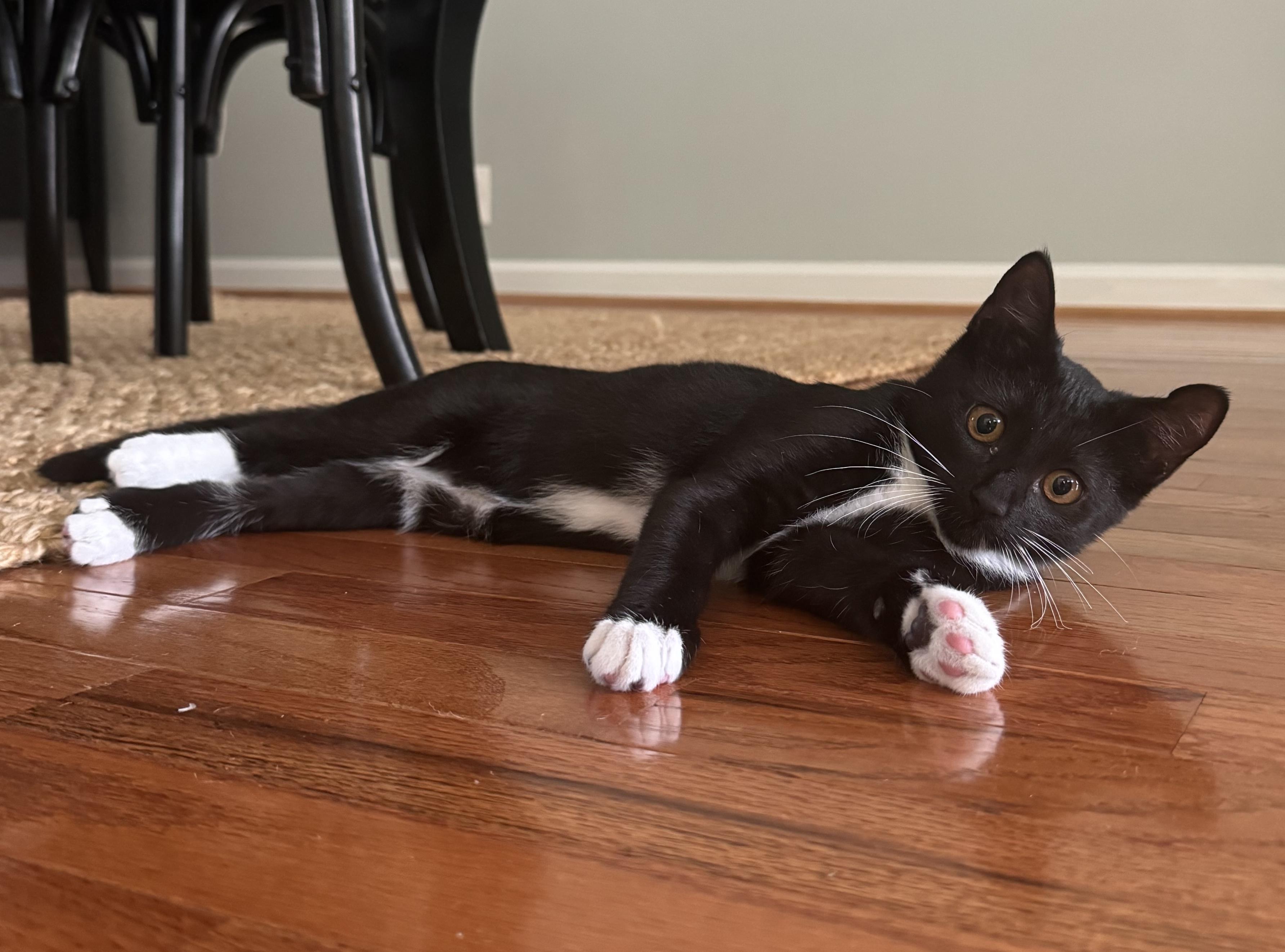 Pepper