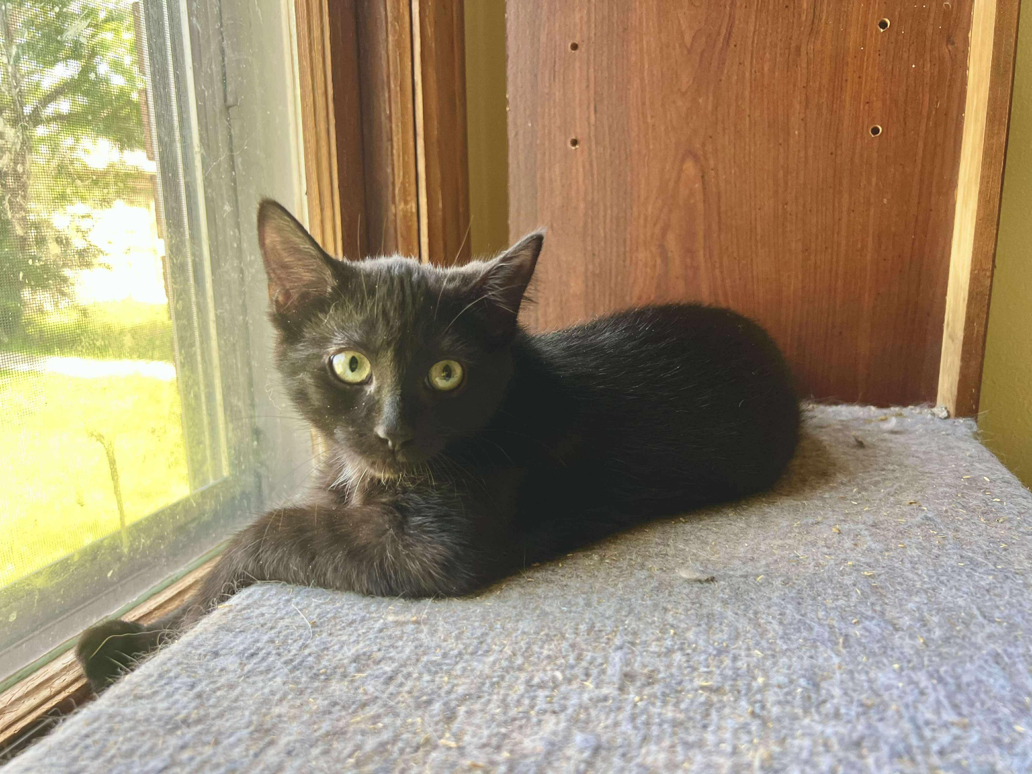 Oliver