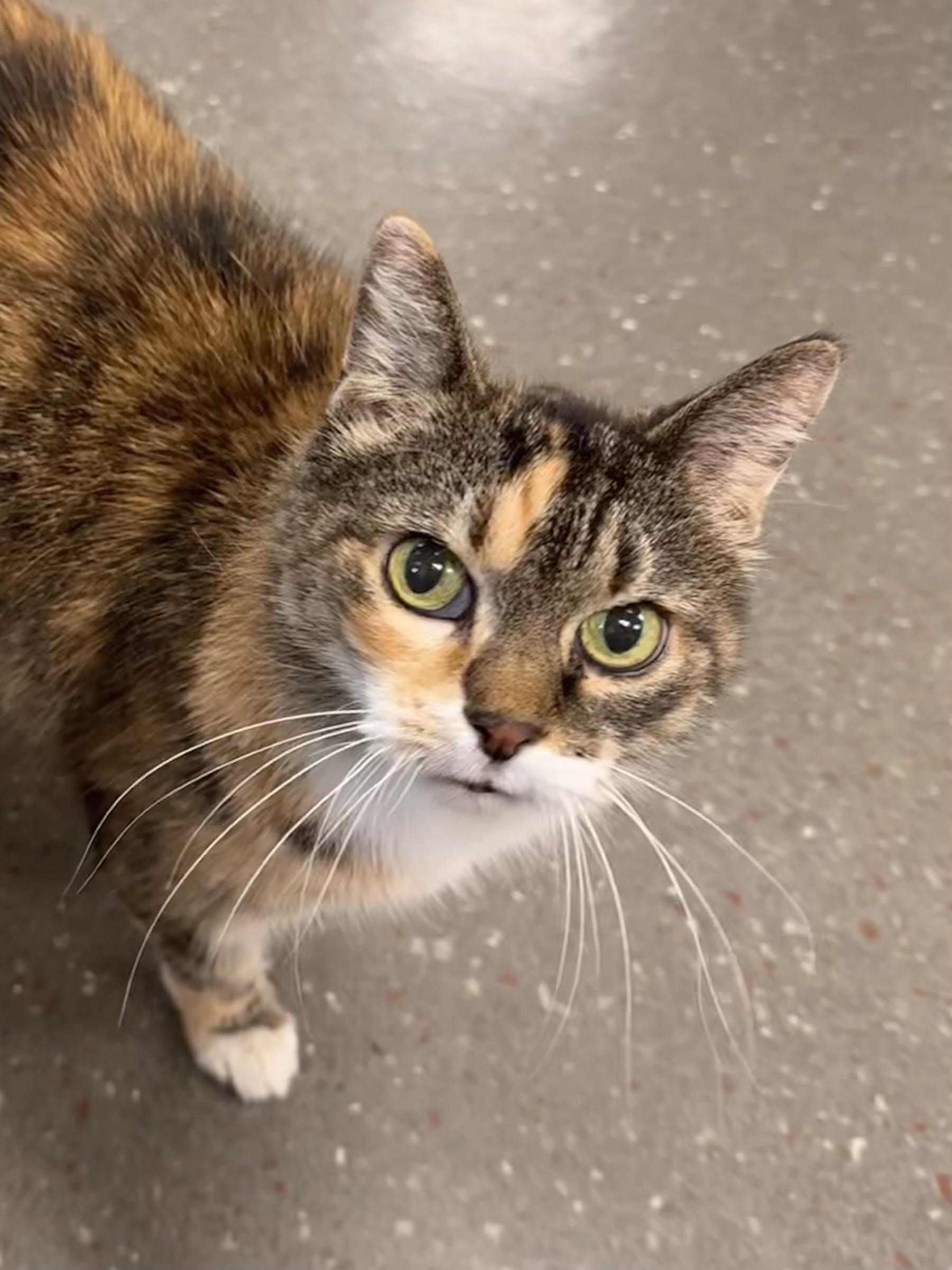 Kiki