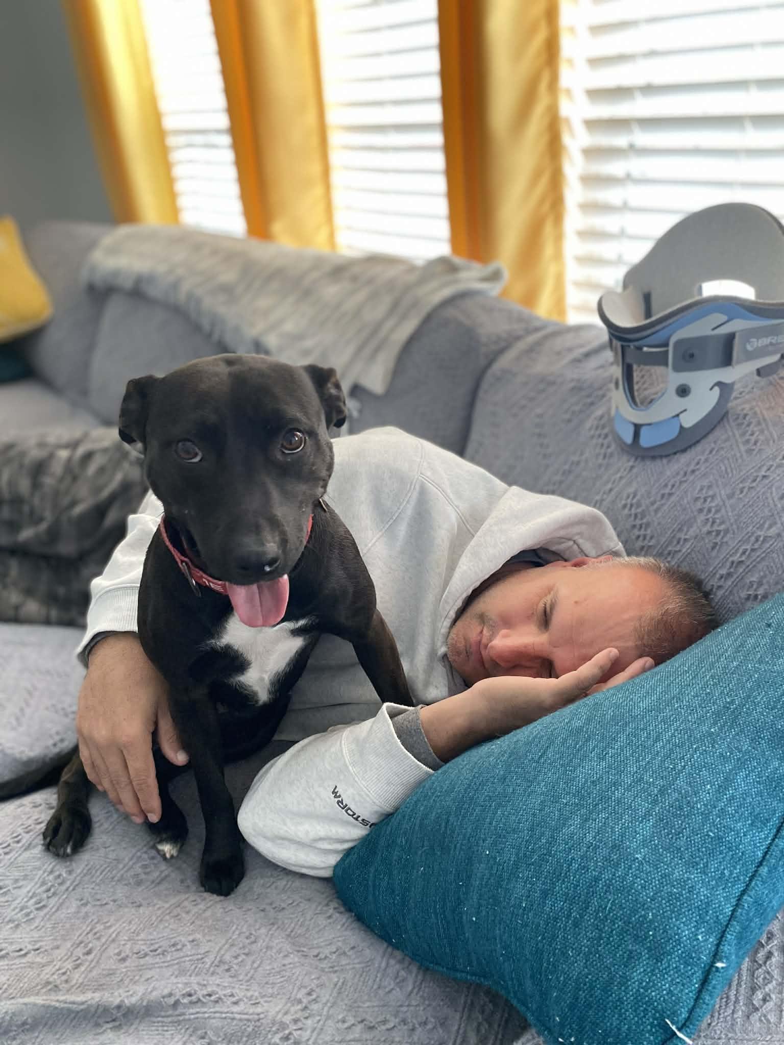 Enlarge Josie, a Adoptable mixed breed in Baltimore, MD image 3/6