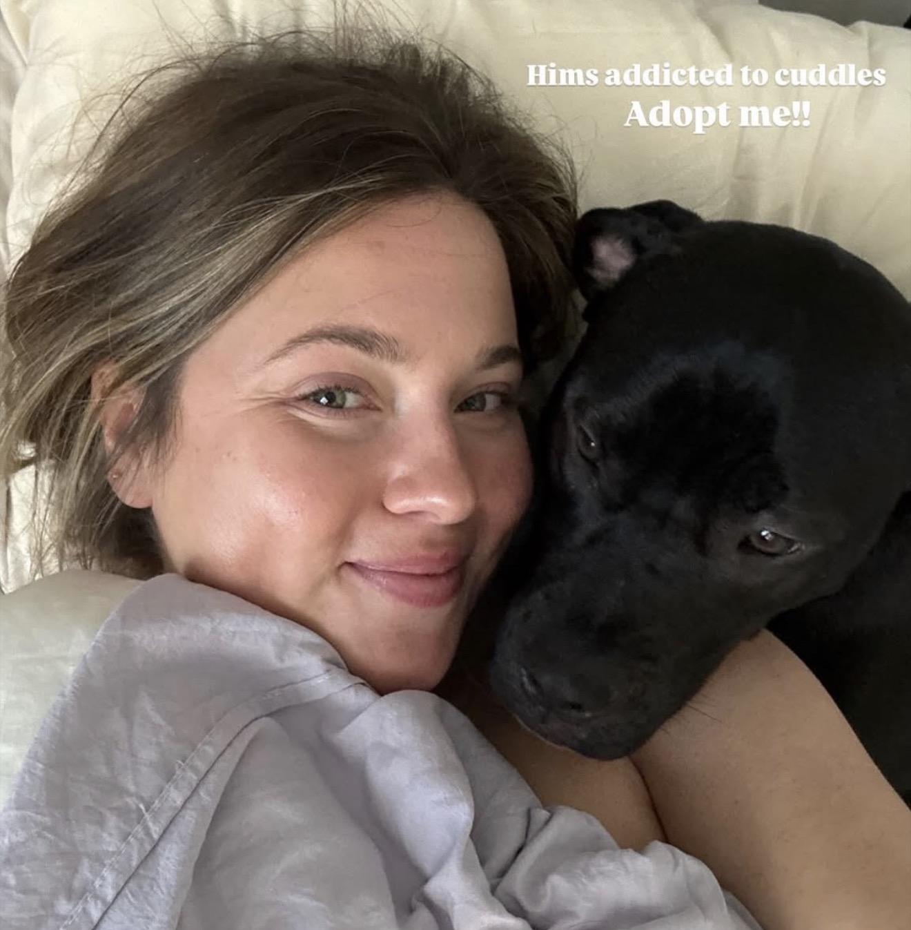 Kovu, a ADOPTABLE Mixed Breed in Ridgeland, SC image 5/5