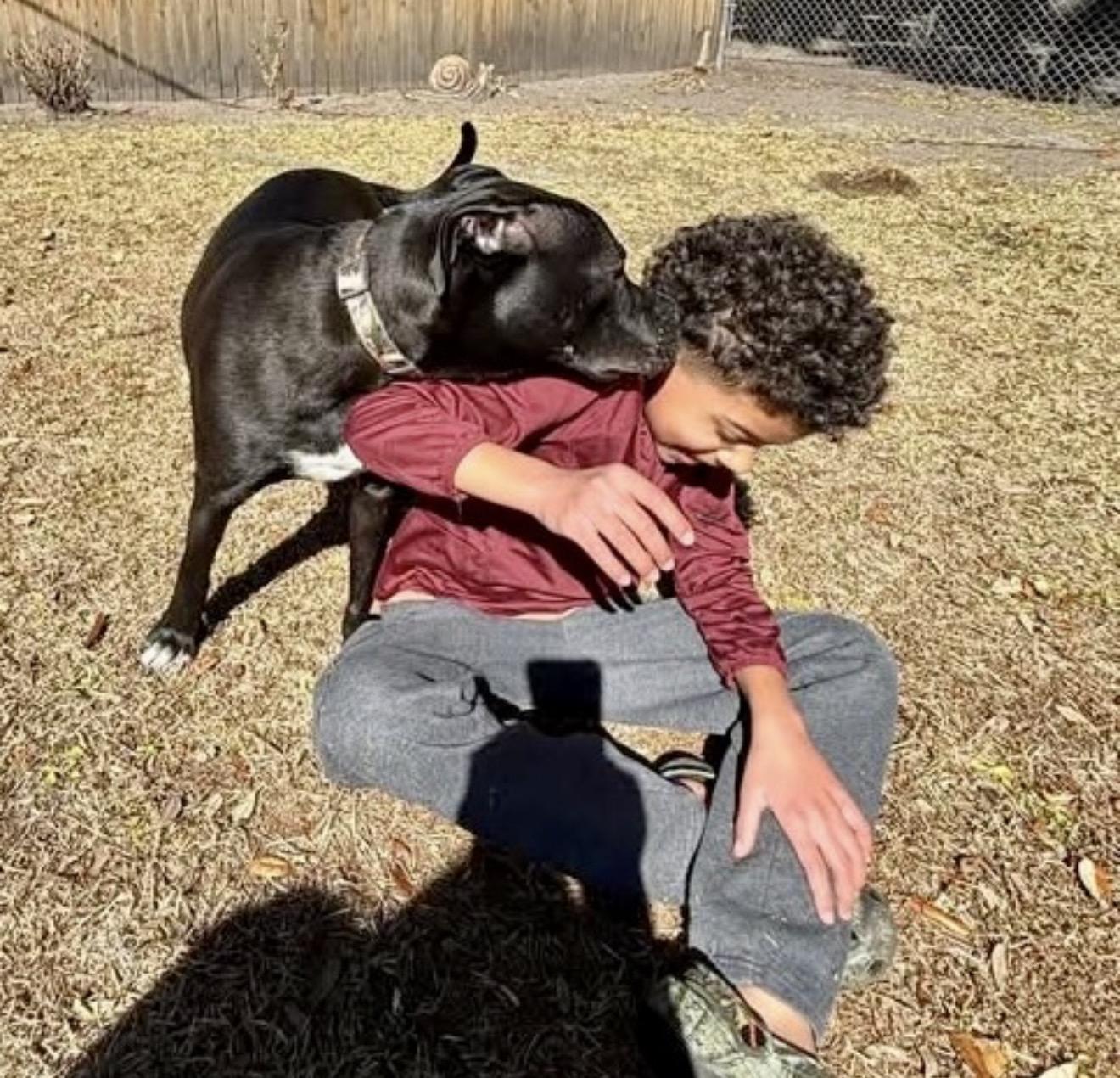 Kovu, a ADOPTABLE Mixed Breed in Ridgeland, SC image 4/5