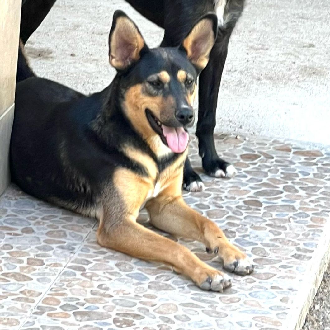 Milagros photo 1