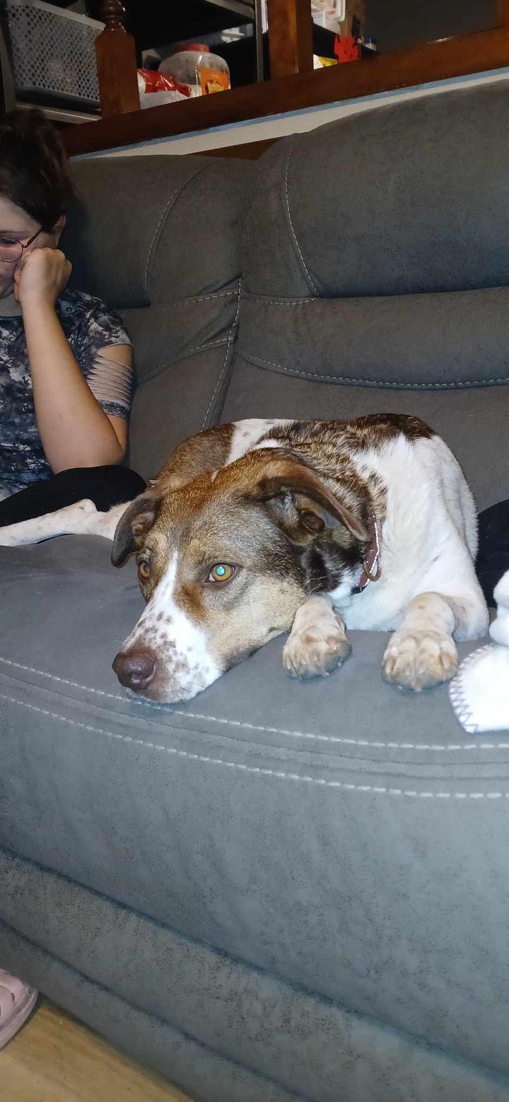 Glowing Ember (Rescue)