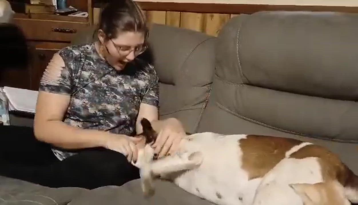 Enlarge Glowing Ember (Rescue), a Adoptable Pointer in Springfield, MO video 5/5