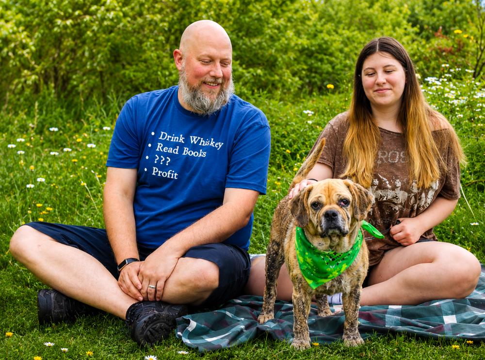 Wiley, a ADOPTABLE mixed breed in Grayling, MI image 4/6