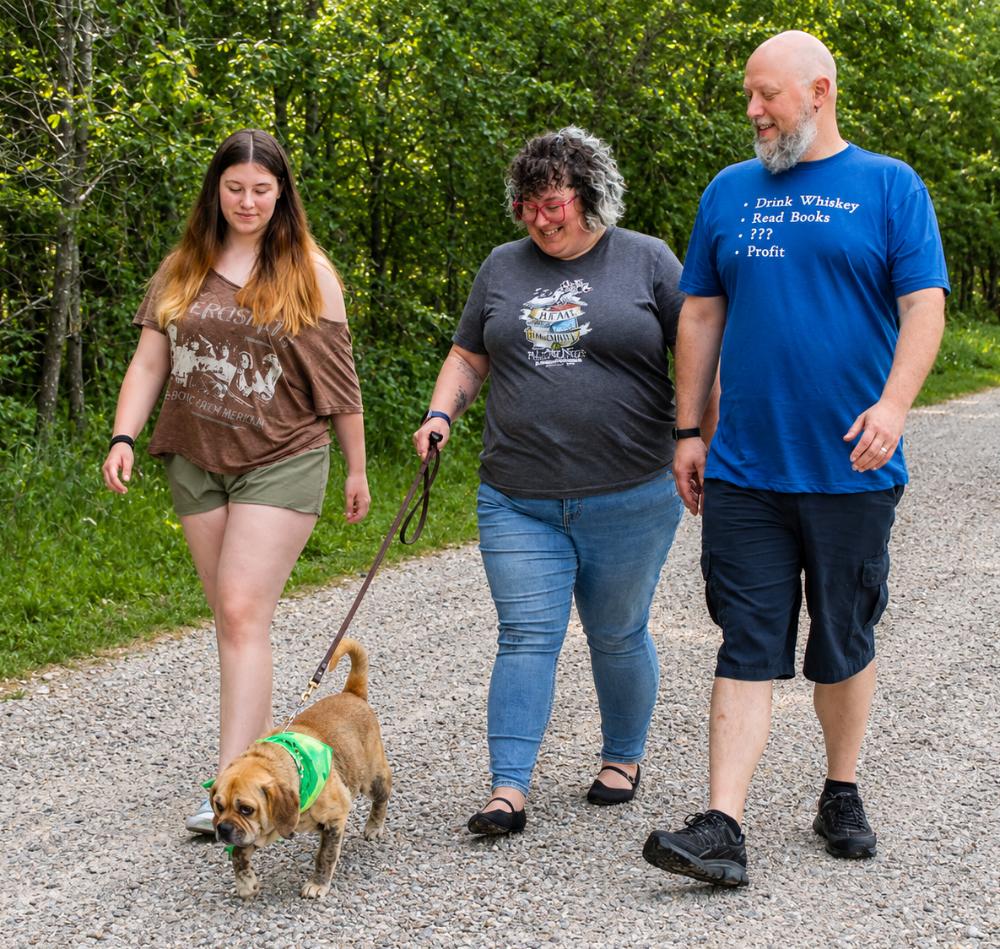 Wiley, a ADOPTABLE mixed breed in Grayling, MI image 6/6