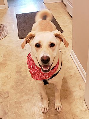 Sophie photo 2
