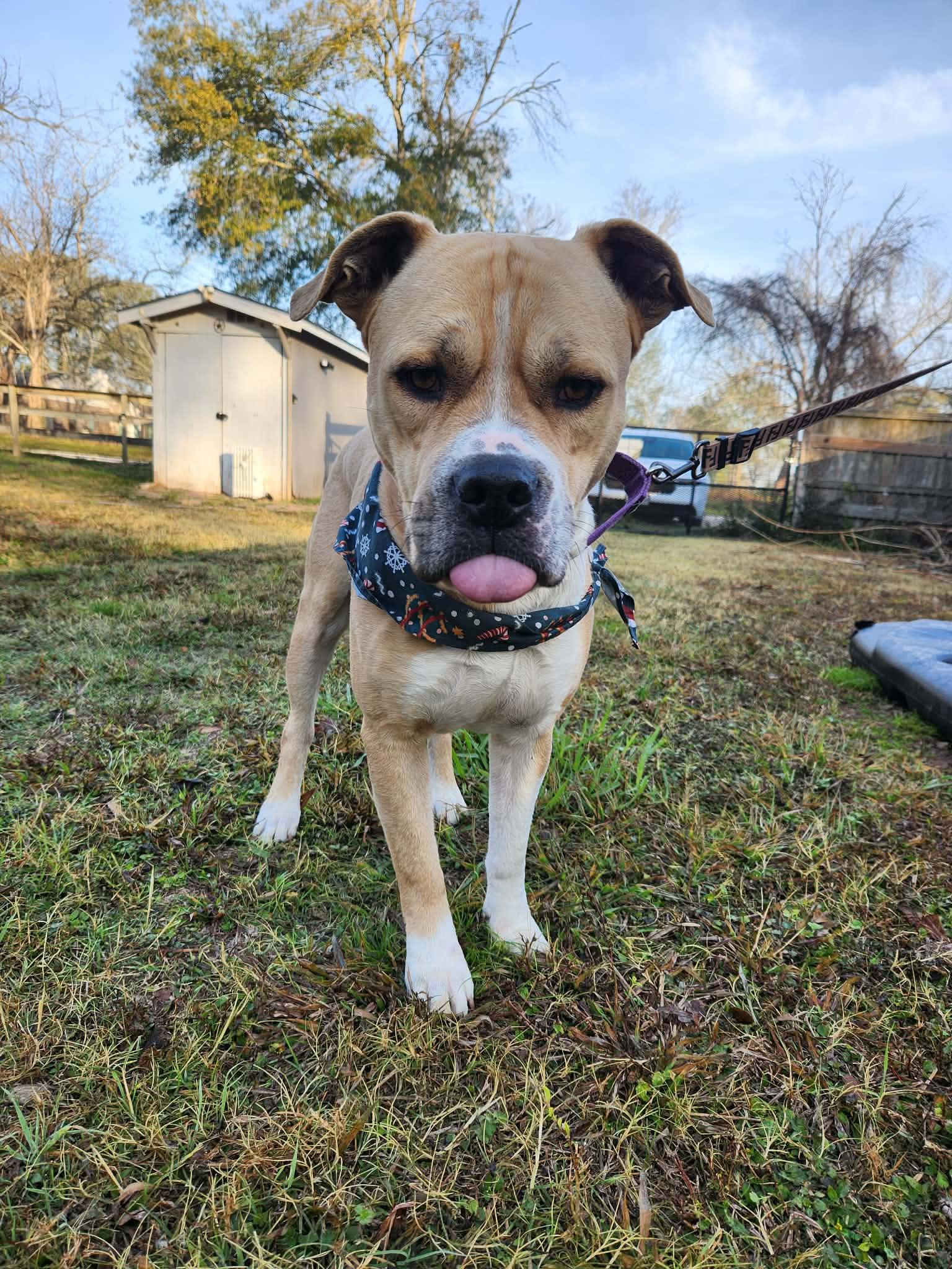 Zane : The Chill Guy — thumbnail 4