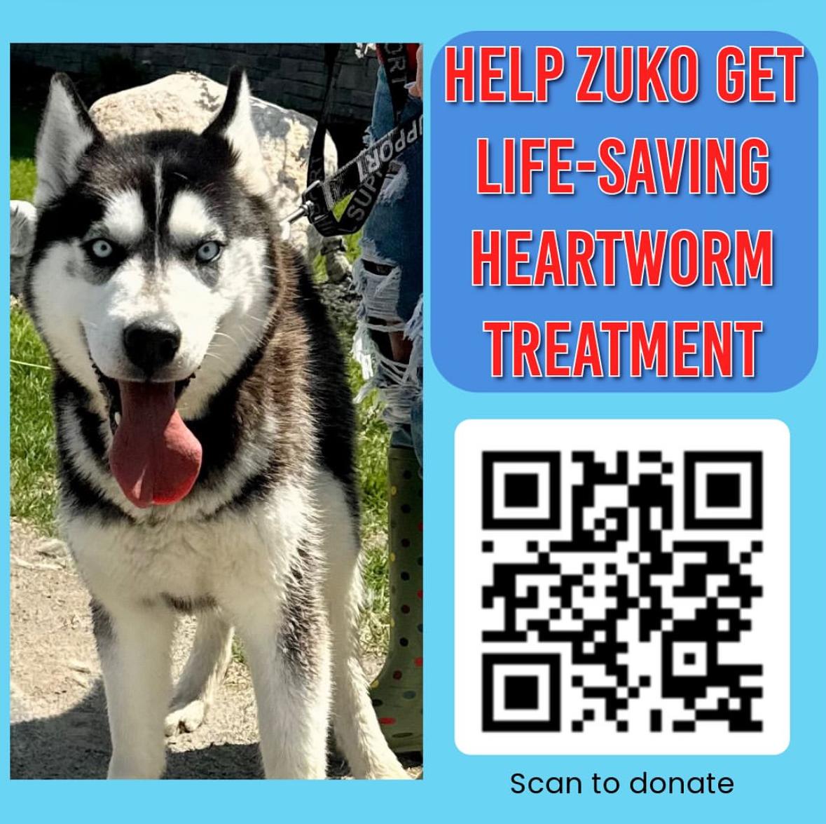 Zuko photo 2