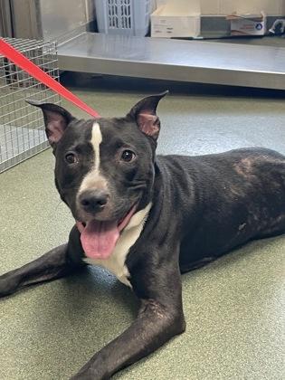 Etheridge — thumbnail 2