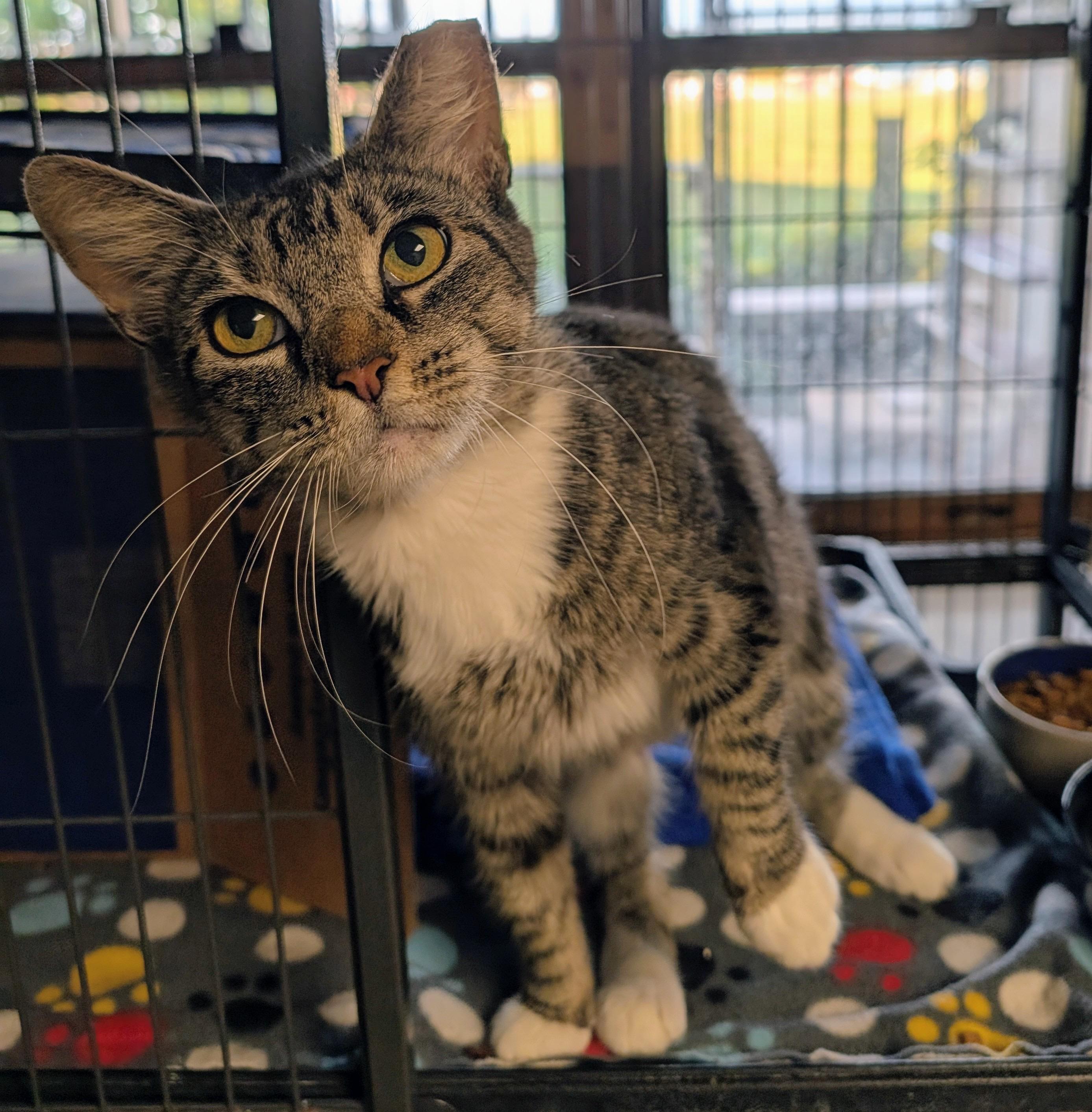 Lisa From Whitehall thumbnail 4