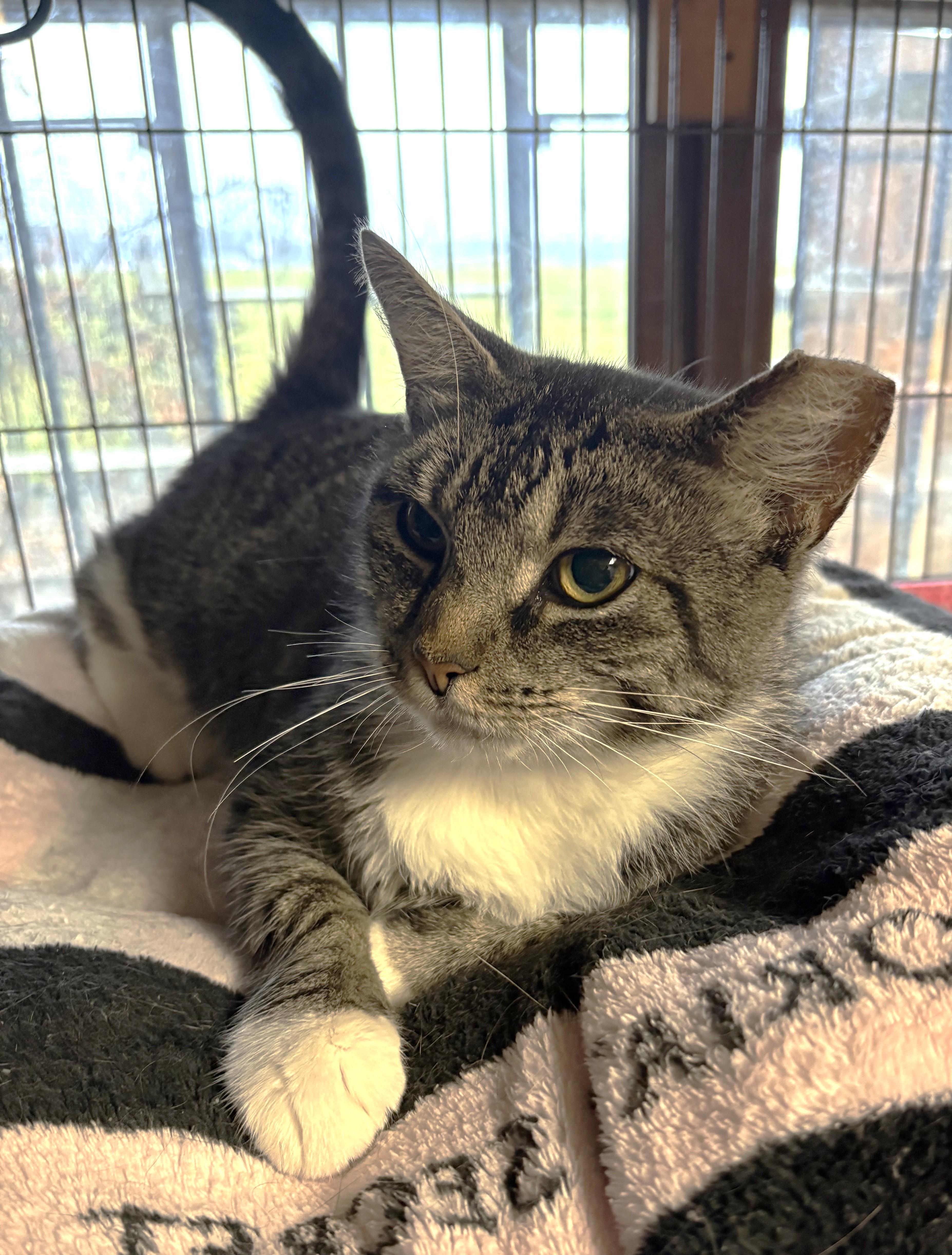 Lisa From Whitehall thumbnail 5