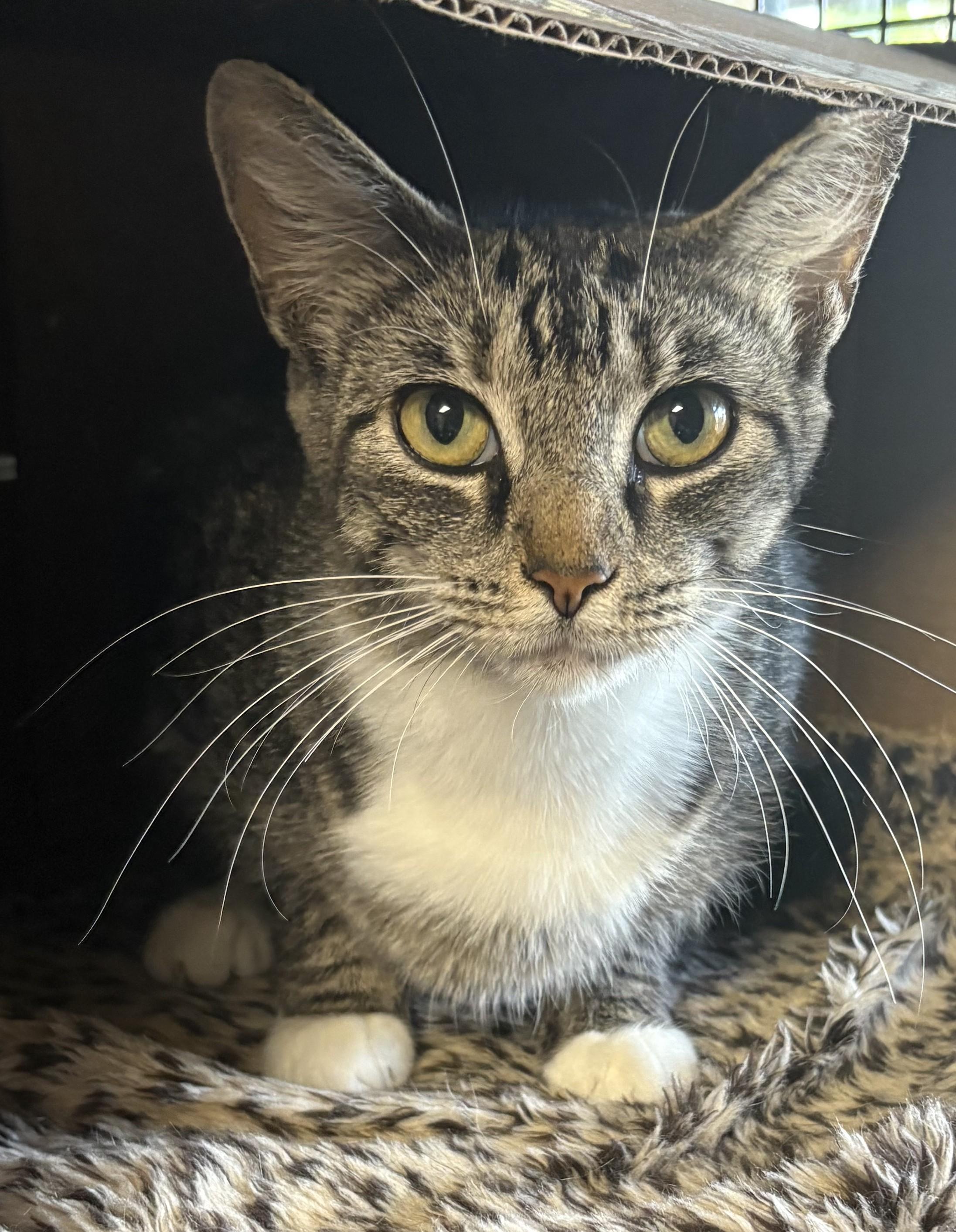 Lisa From Whitehall thumbnail 6