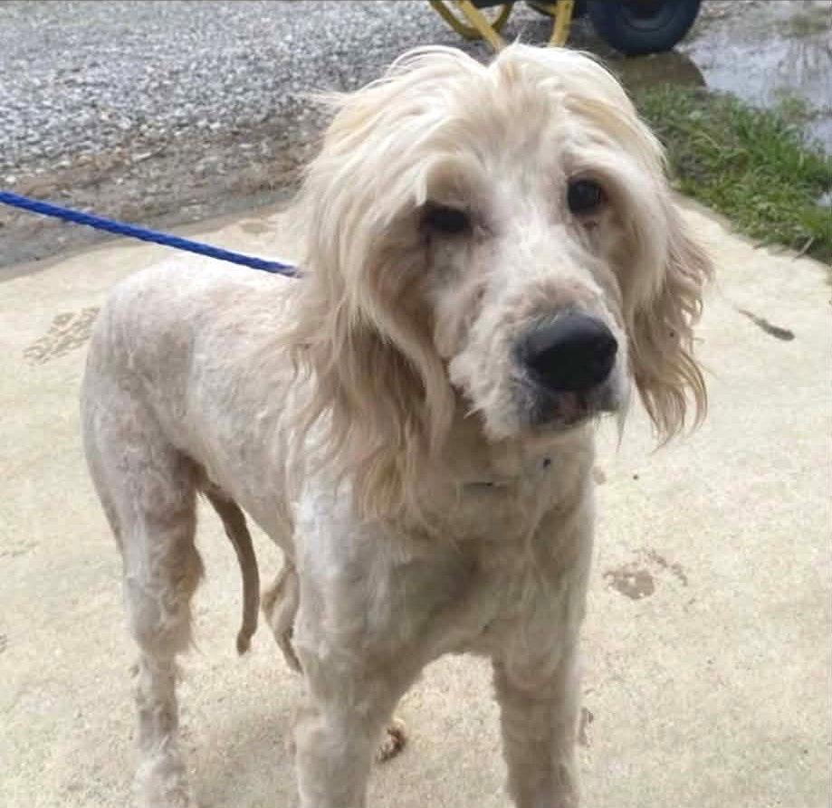 Hazel Sh In Ms thumbnail 2