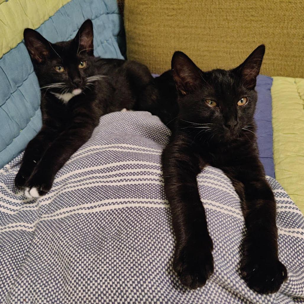 Seven — thumbnail 2