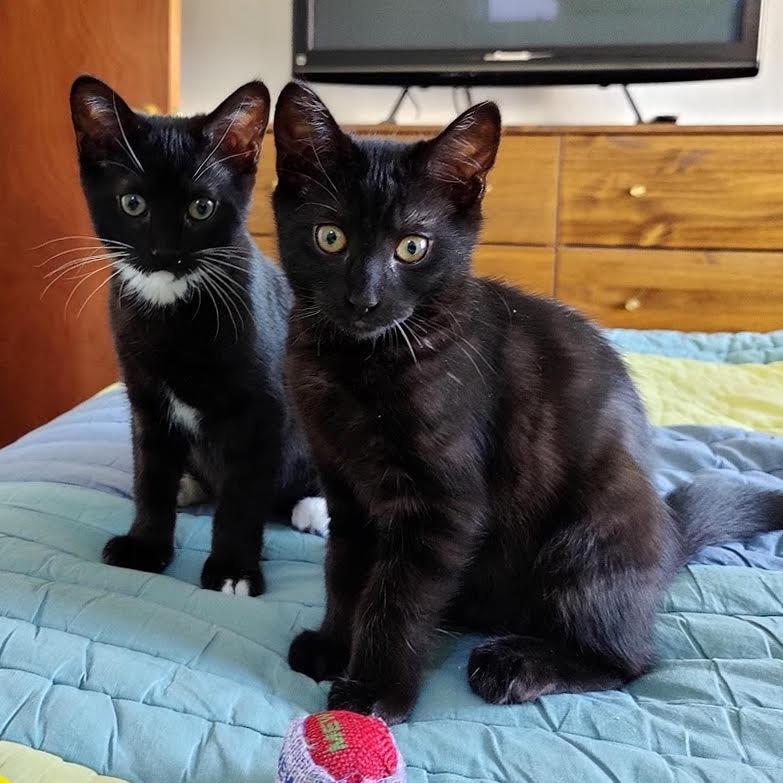 Seven — thumbnail 3