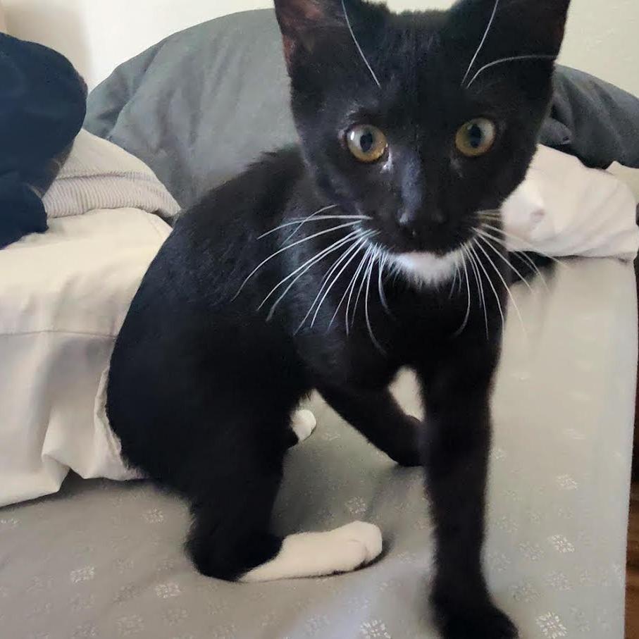 Seven — thumbnail 4