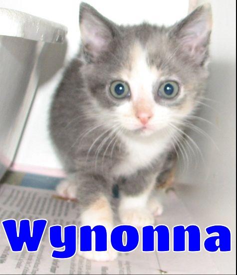 #5404 Wynonna, Baby Female unknown