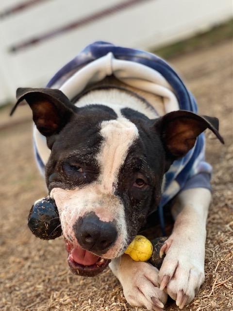 AUSTIN most deserving!