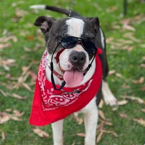 AUSTIN most deserving!