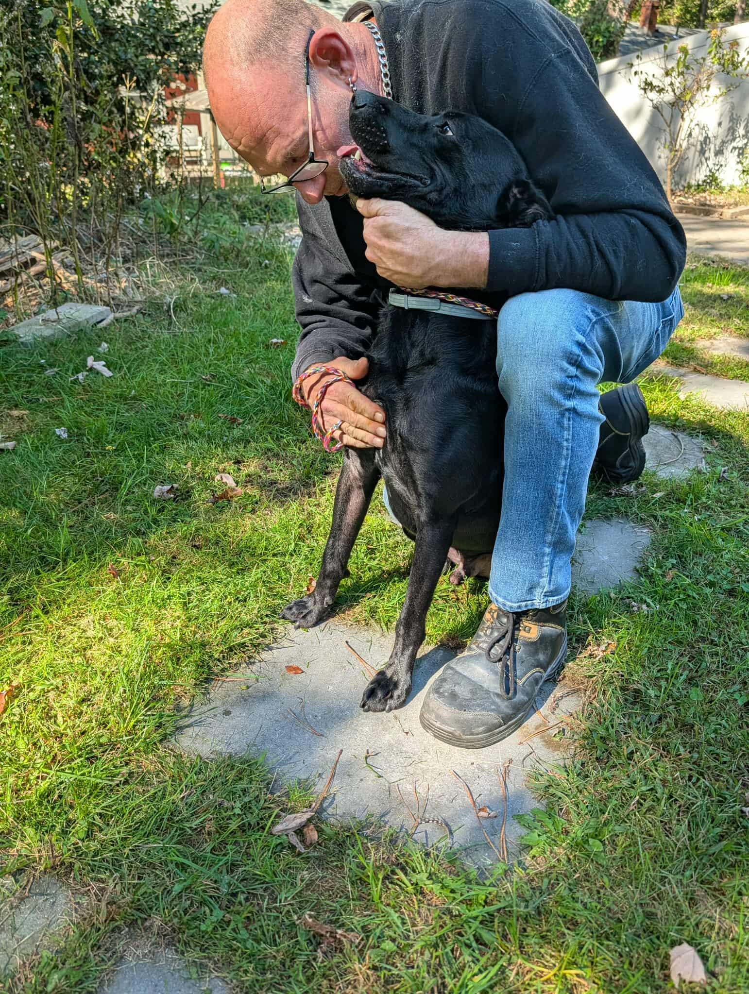 Bean - Foster or Foster to Adopt Urgent