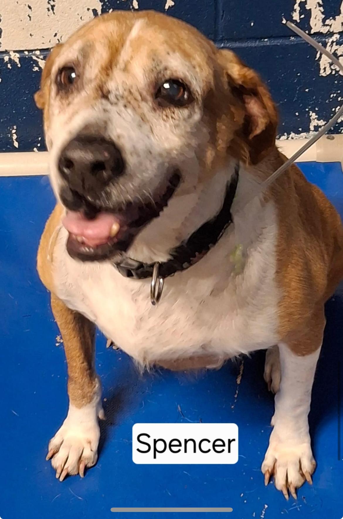 Spencer cs (I’m a senior), Senior Male unknown