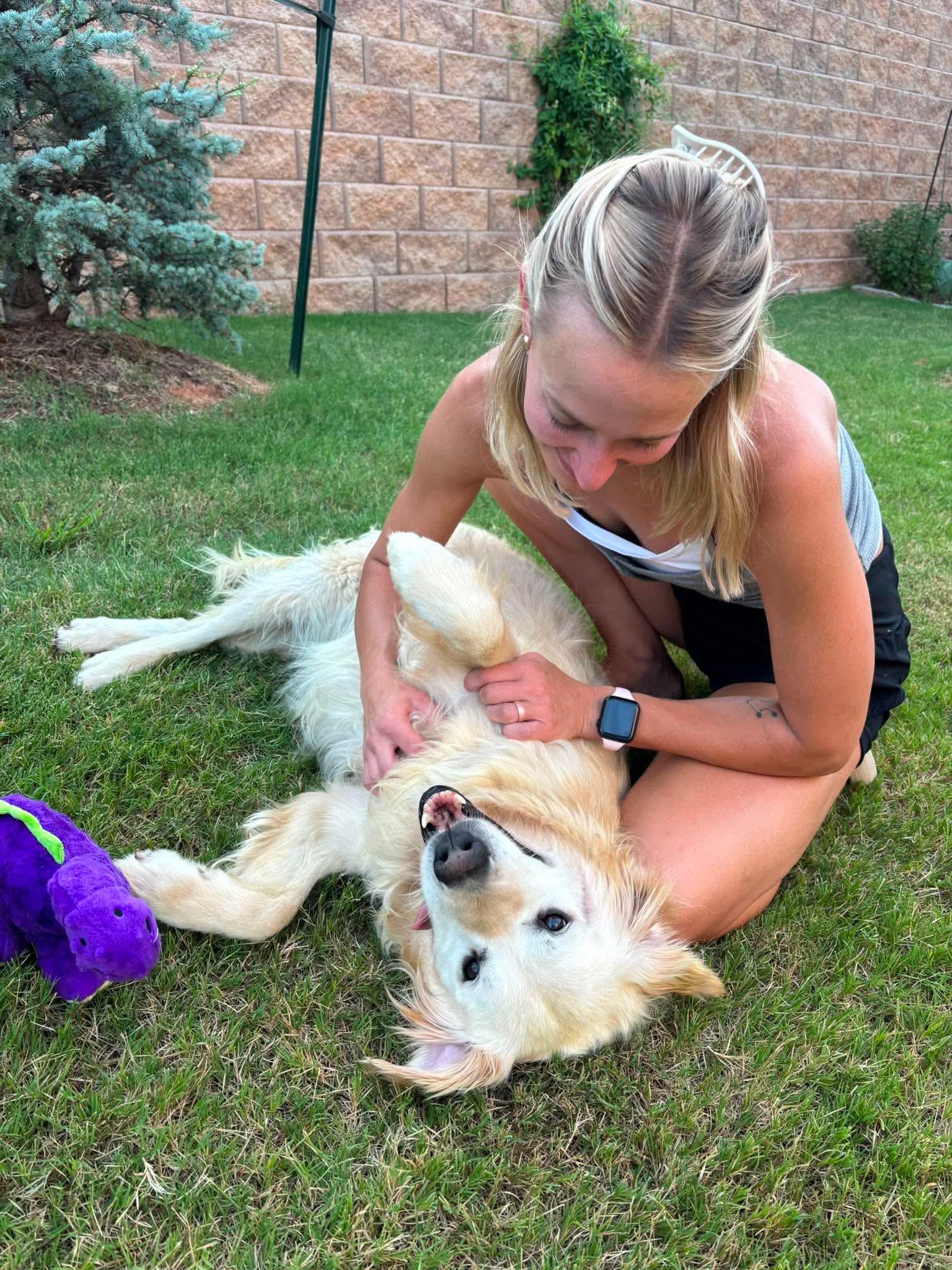 Lexie, a ADOPTABLE Golden Retriever in Brookfield, WI image 5/6