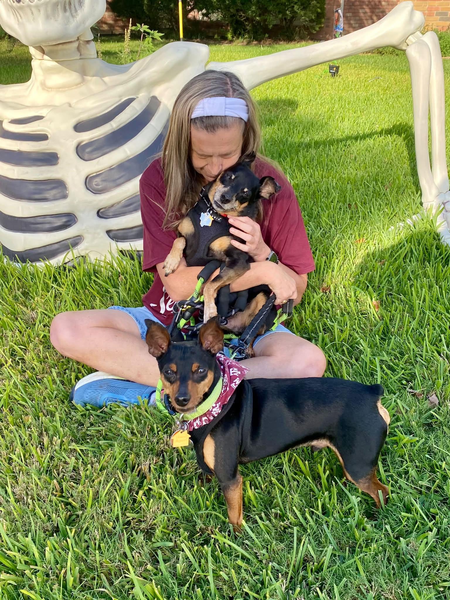 Enlarge Lucas - ADOPTED, a Adoptable mixed breed in Houston, TX image 6/6