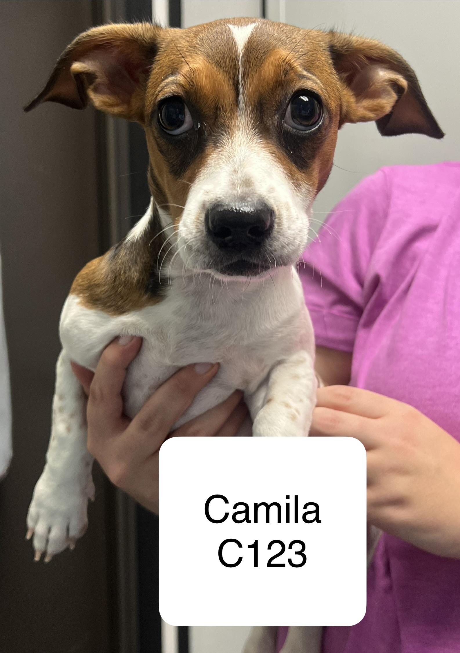 Camila photo