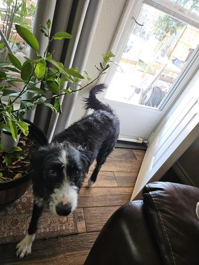 Livey — thumbnail 3