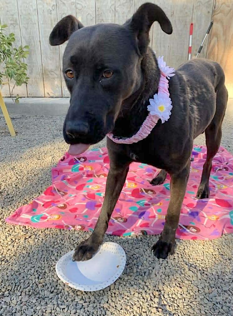 Adelina — thumbnail 3