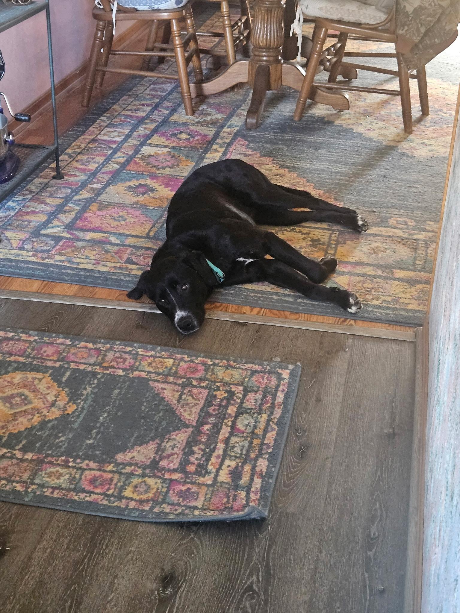 Jerry — thumbnail 2