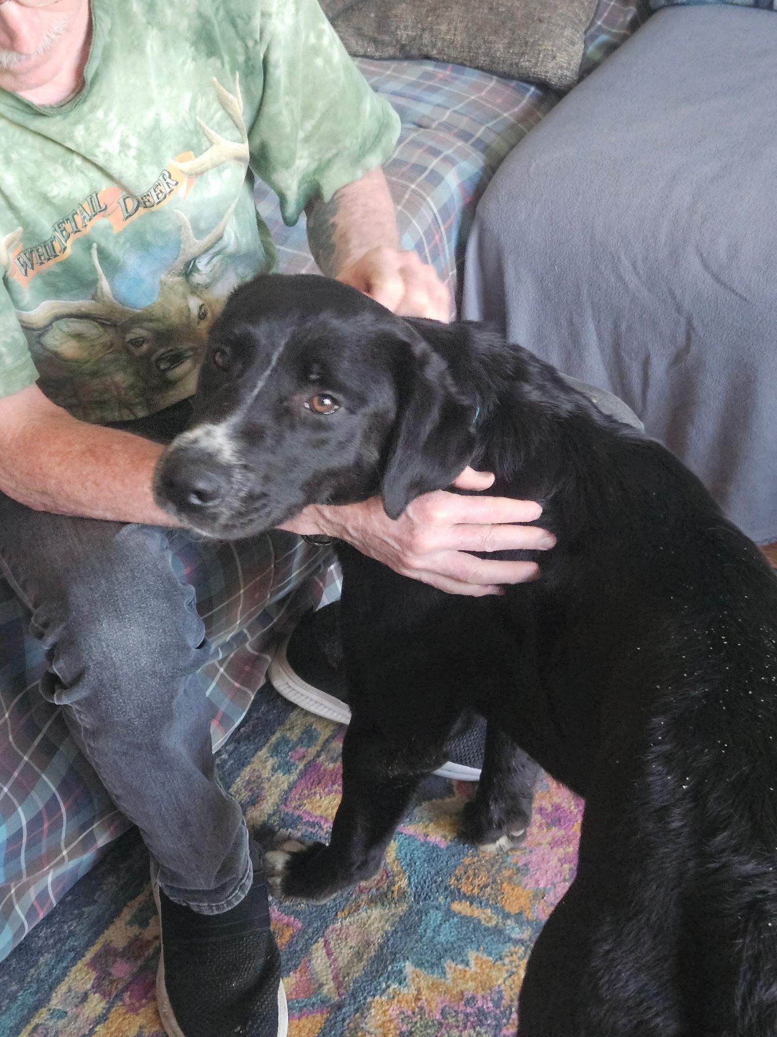 Jerry — thumbnail 4