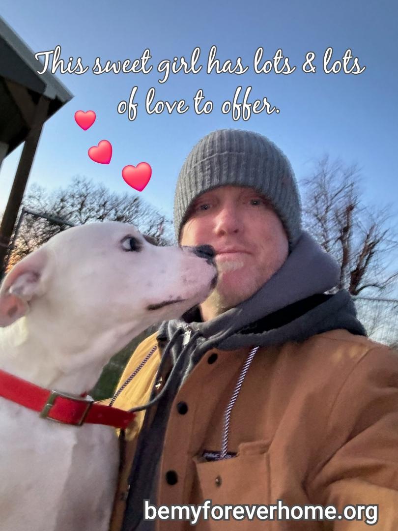 Enlarge Pebbles, an adoptable mixed breed in Plano, TX image 3/6