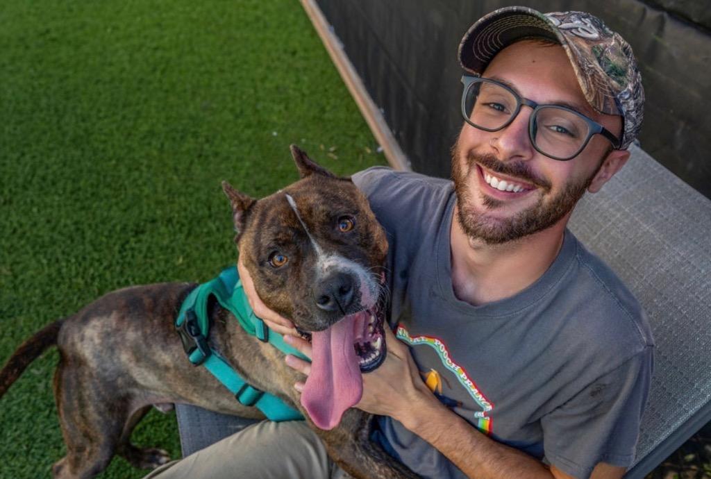 Frankie, a Adoptable mixed breed in Detroit, MI image 3/5