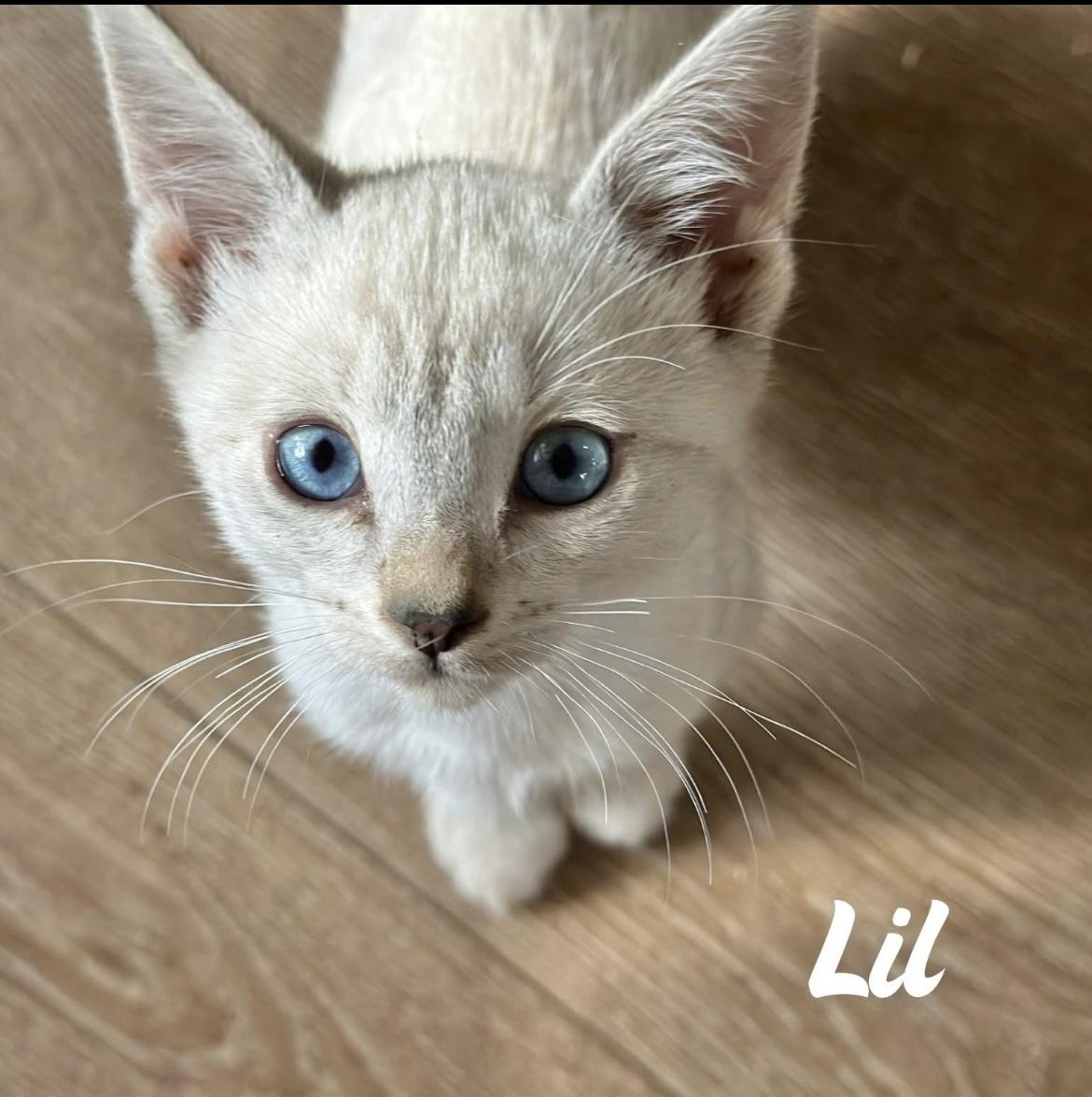 Lil 0125