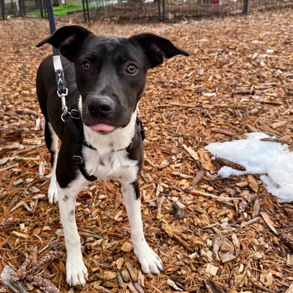 Princess Posey thumbnail 2