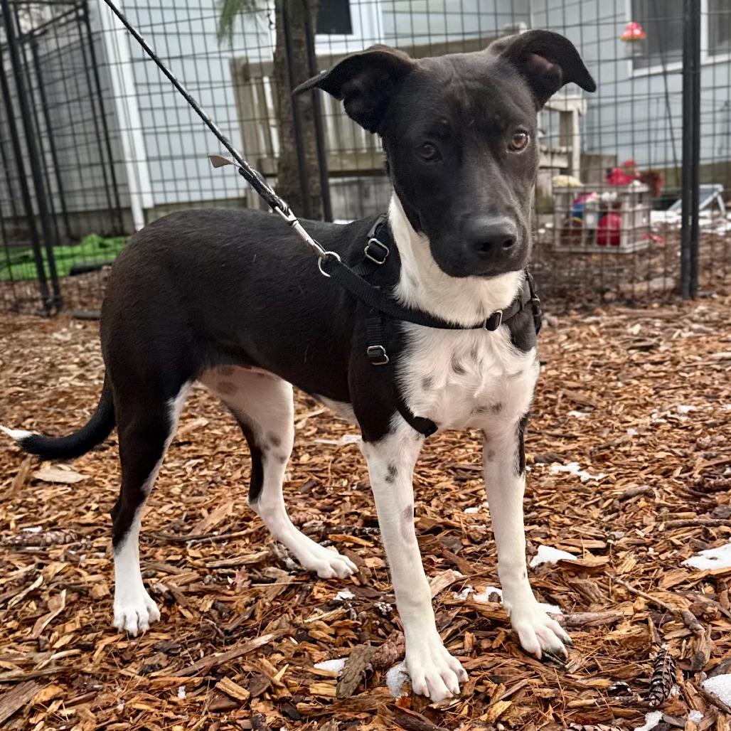 Princess Posey thumbnail 3