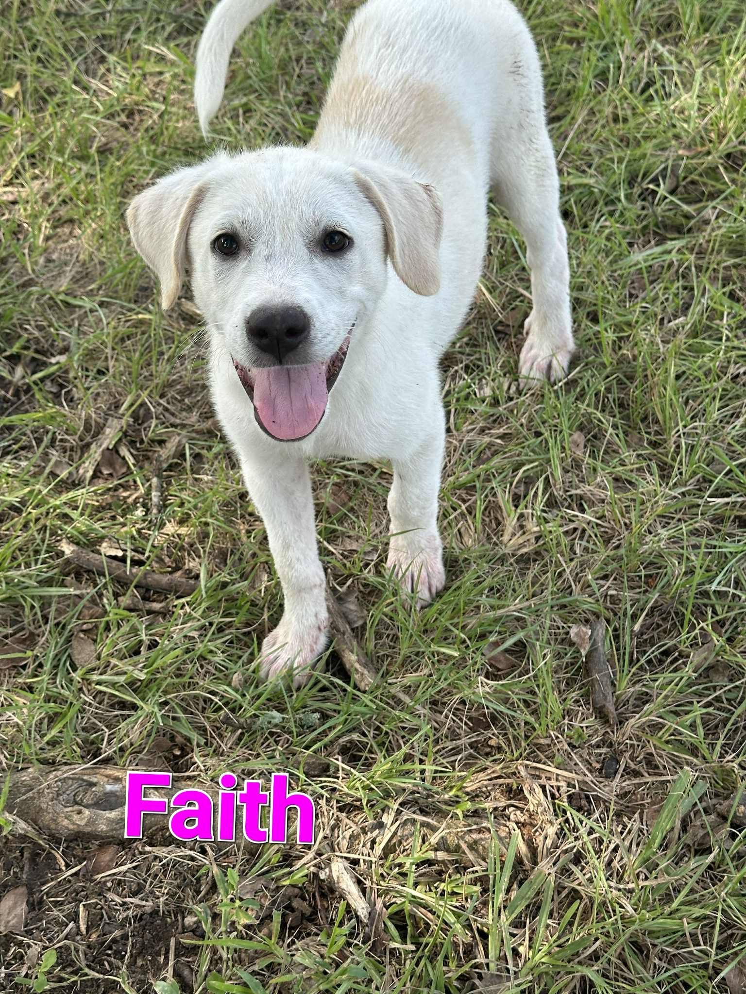 Faith