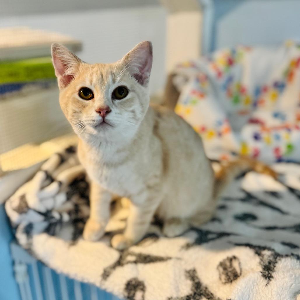 Swish — thumbnail 5