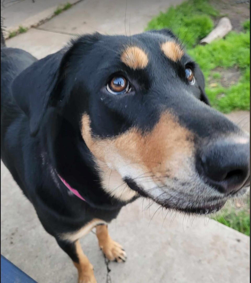 Frieda (TX) 3
