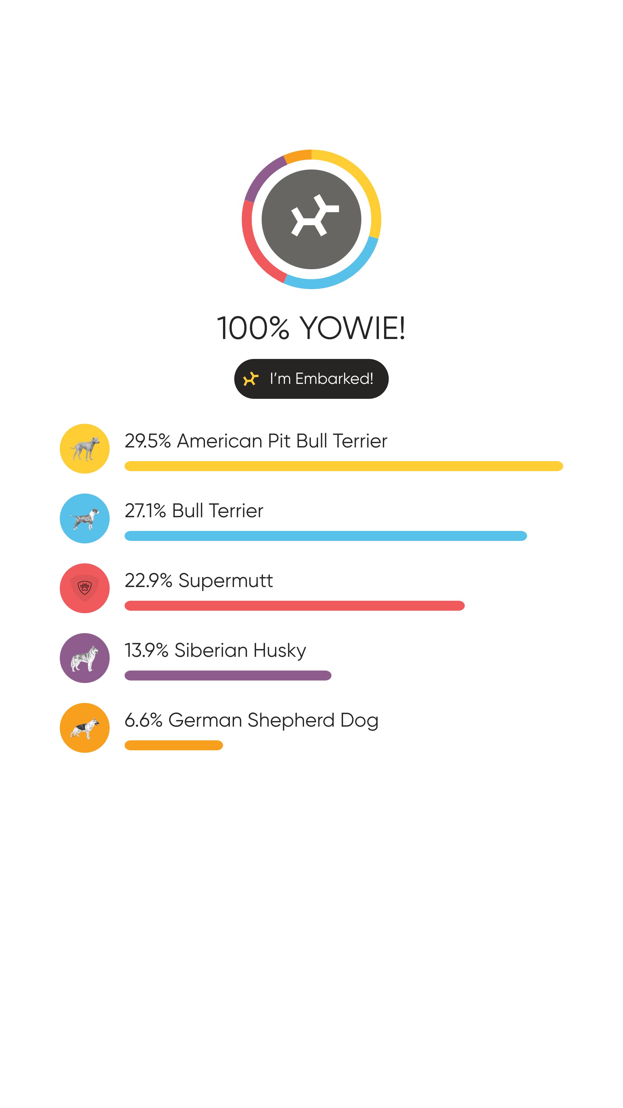 Enlarge Yowie, a ADOPTABLE Mixed Breed in Oakland, CA image 4/4